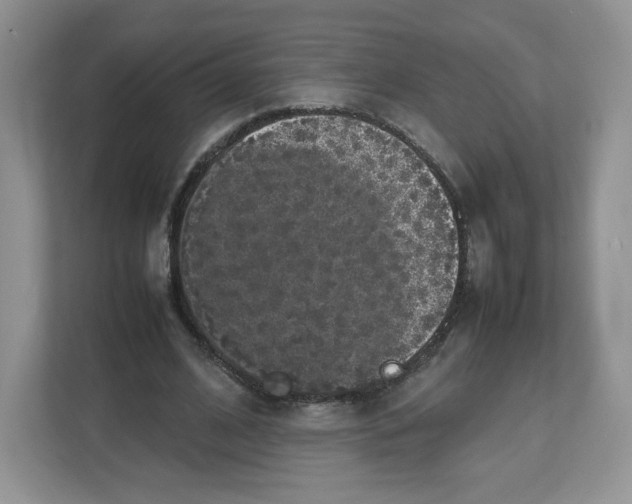 X0000112470584200909141120