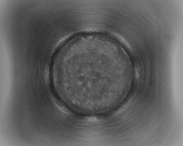 X0000112470588200909141120