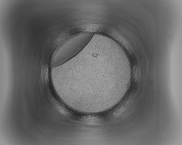 X0000112470589200909141120