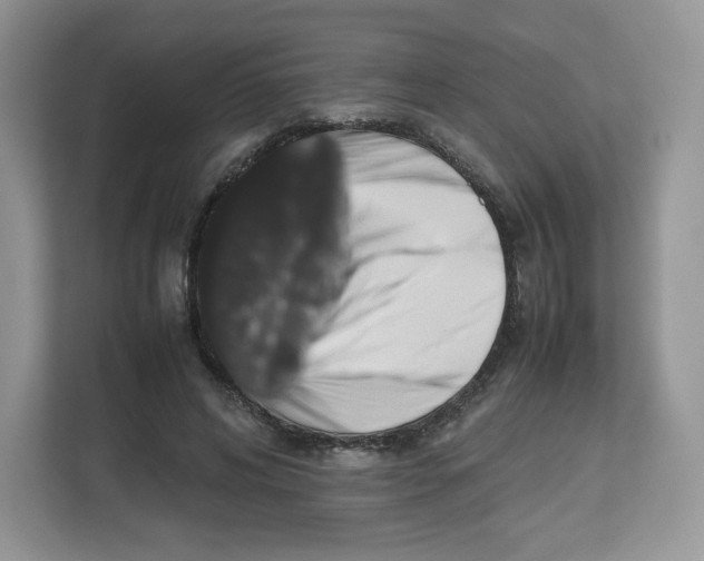 X0000112470592200909141120