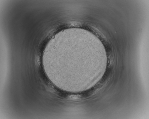 X0000112470595200909141120