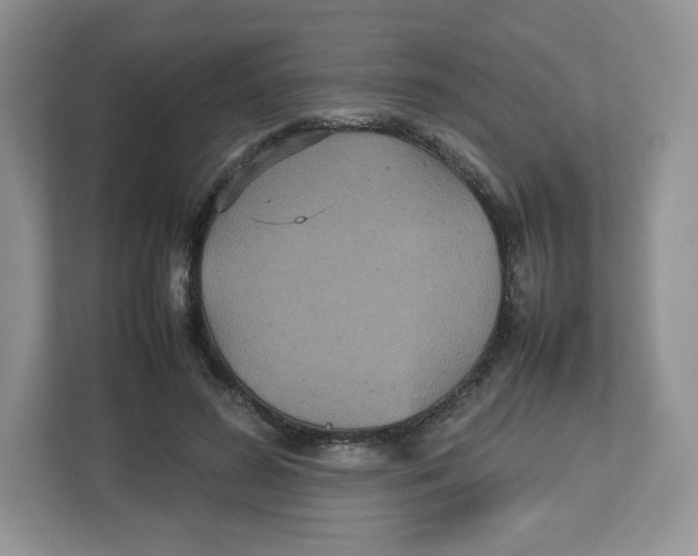 X0000112470596200909141120