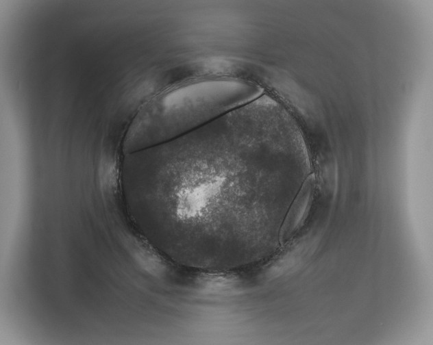 X0000112470597200909141120