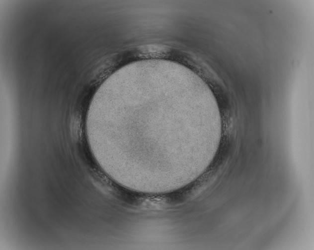 X0000112470599200909141120