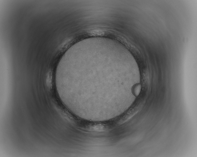 X0000112470600200909141120