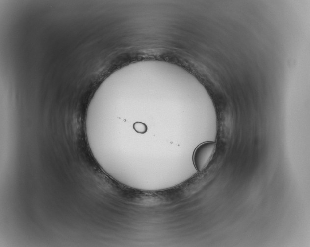 X0000112470608200909141120