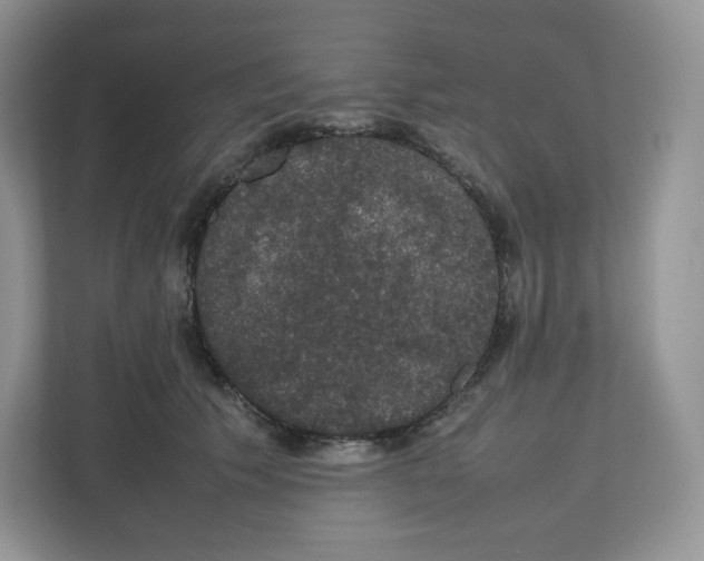 X0000112470609200909141120