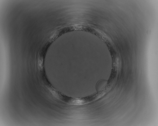 X0000112470610200909141120