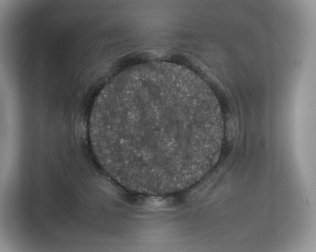 X0000112470613200909141120