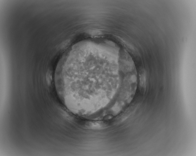 X0000112470618200909141119