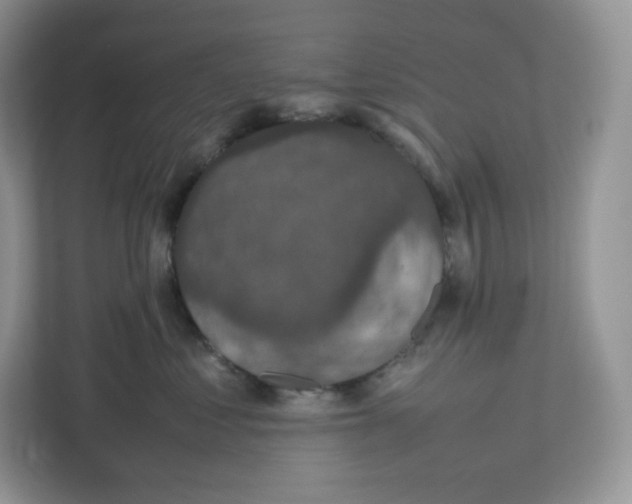 X0000112470621200909141119