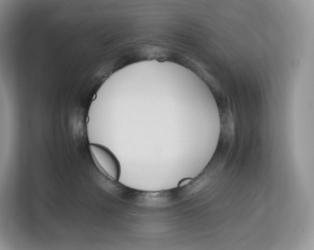 X0000112470622200909141119