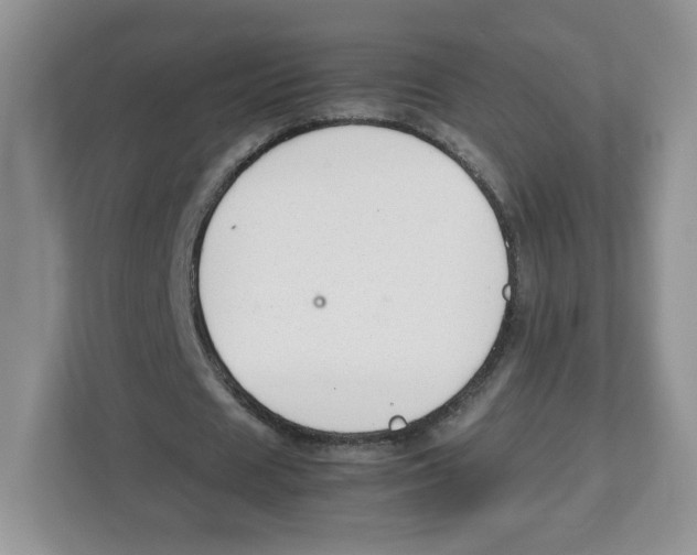X0000112470625200909141119
