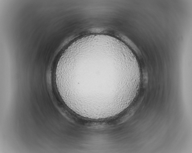 X0000112470626200909141119