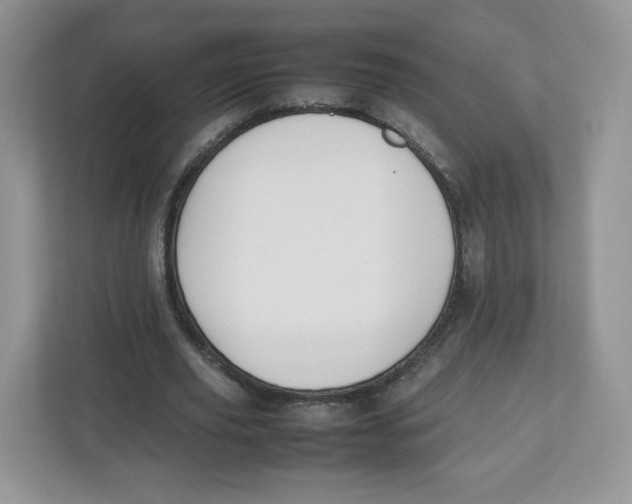 X0000112470629200909141119