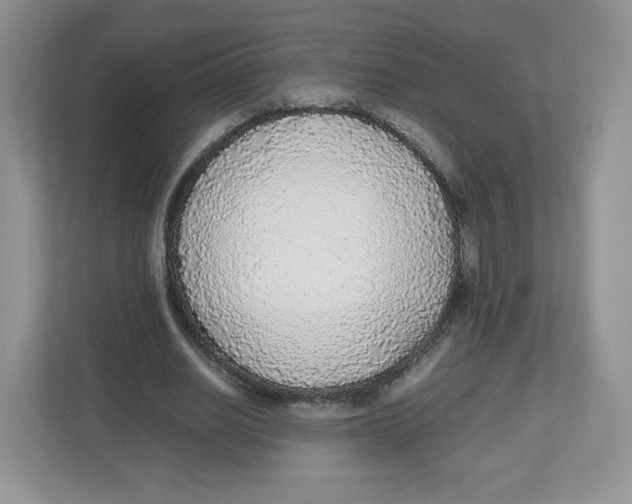 X0000112470630200909141119