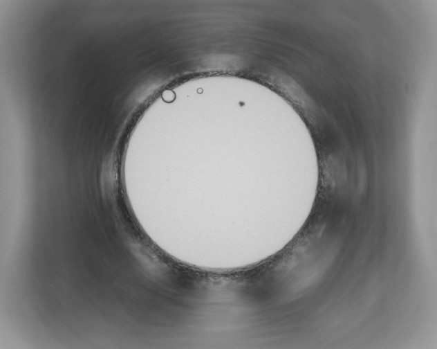 X0000112470632200909141119