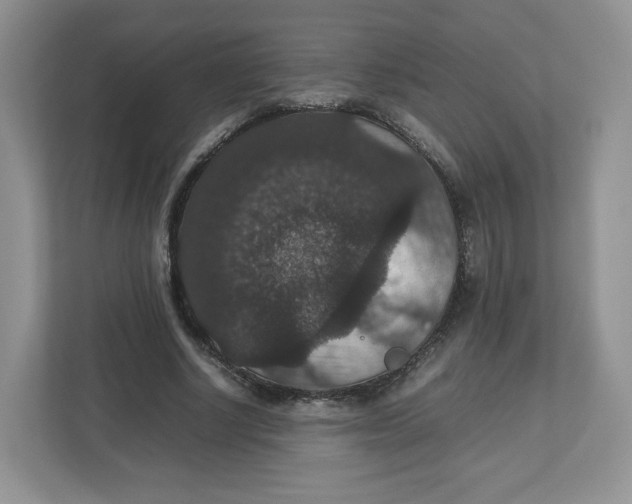 X0000112470634200909141119
