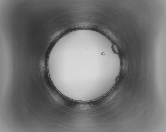 X0000112470636200909141119