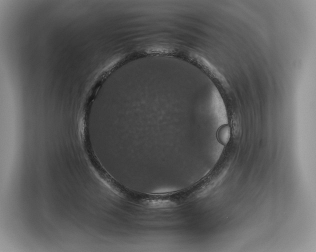 X0000112470637200909141119