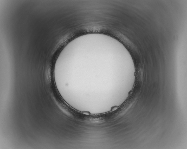 X0000112470638200909141119