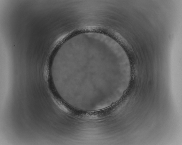 X0000112470640200909141119