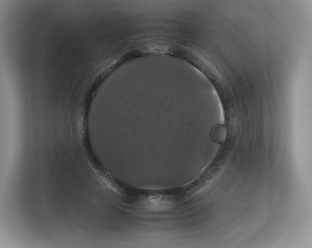 X0000112470641200909141119