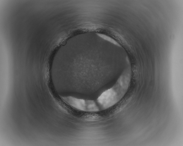 X0000112470642200909141119