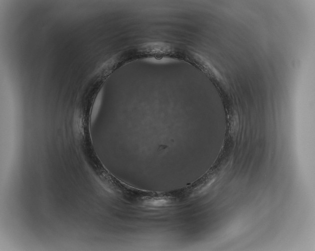 X0000112470643200909141119