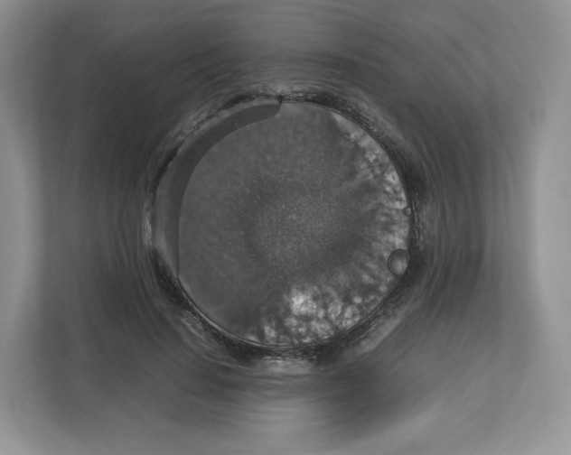X0000112470644200909141119