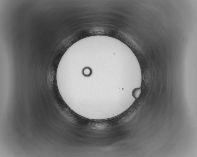 X0000112470645200909141119