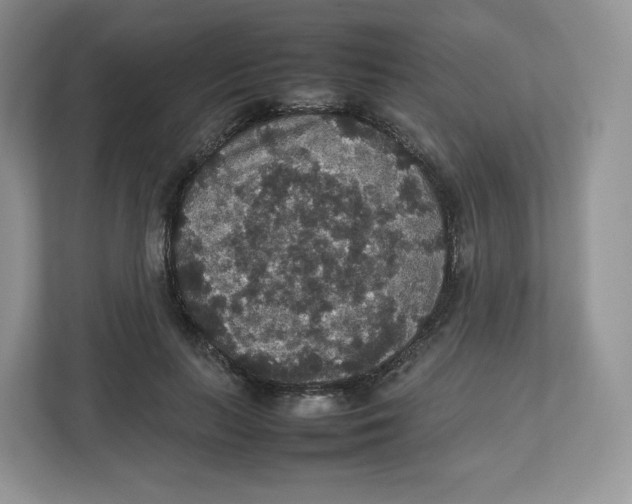 X0000112470647200909141119