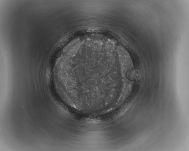 X0000112470648200909141119