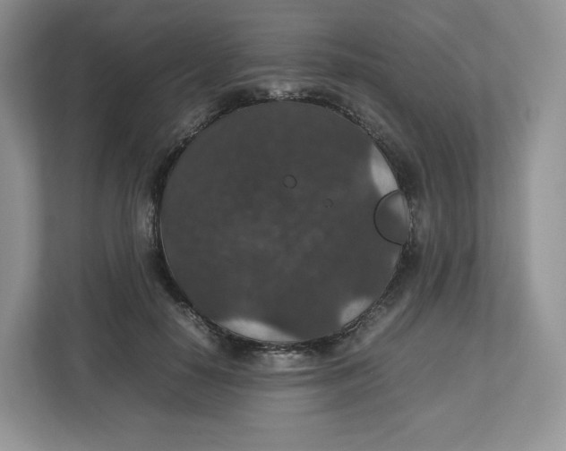 X0000112470650200909141119