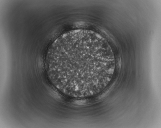 X0000112470653200909141119