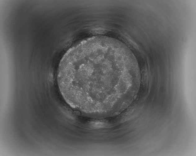 X0000112470655200909141119