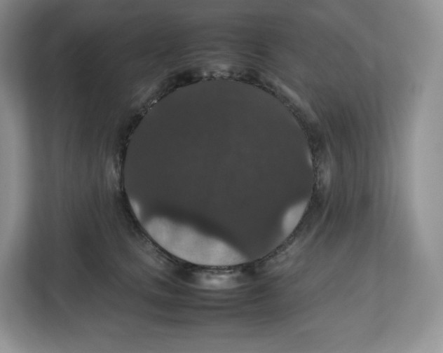 X0000112470661200909141119