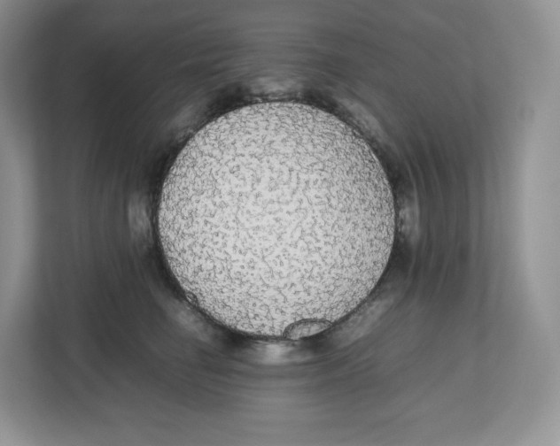 X0000112470662200909141119