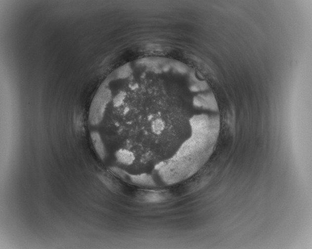 X0000112470663200909141119