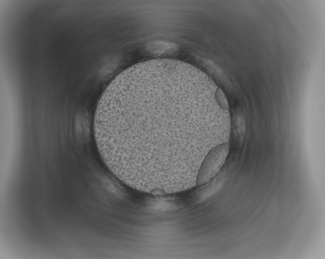 X0000112470664200909141119