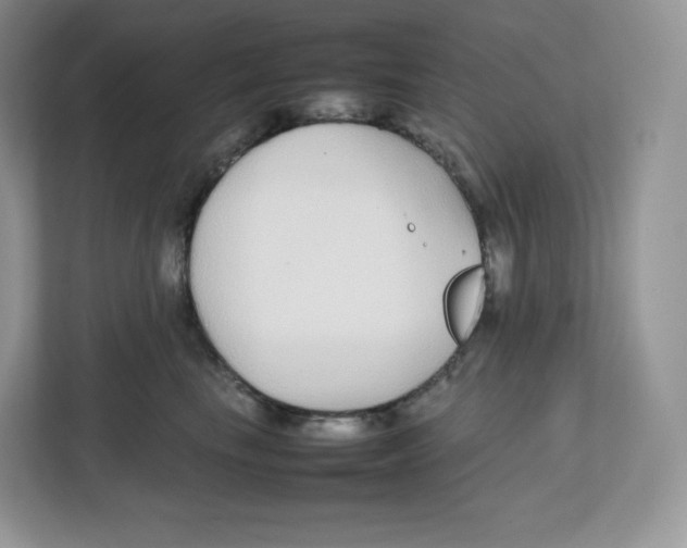 X0000112470665200909141119