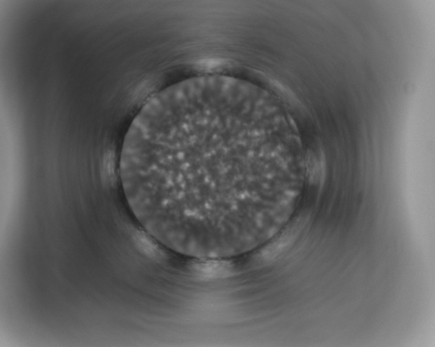 X0000112470670200909141119