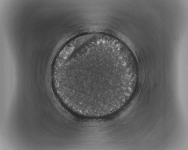X0000112470673200909141119