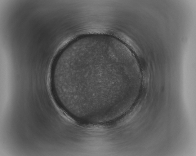 X0000112470677200909141119