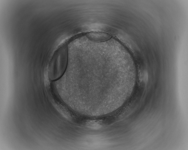 X0000112470680200909141119