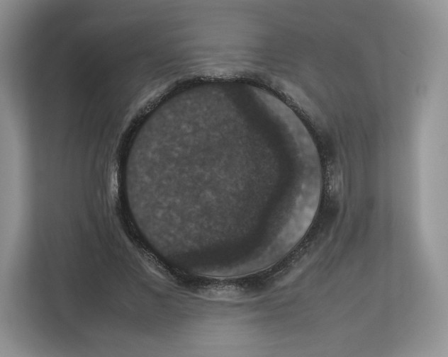 X0000112470685200909141119