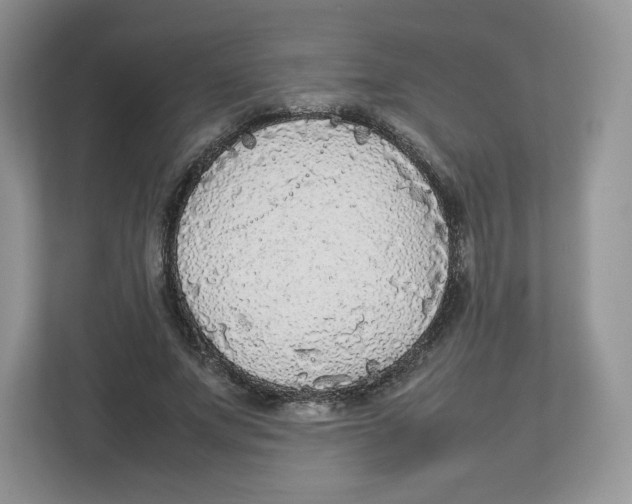 X0000112470687200909141119
