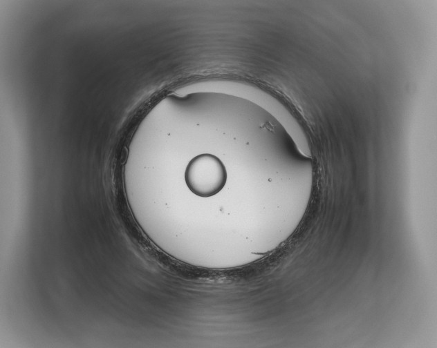 X0000112470688200909141119