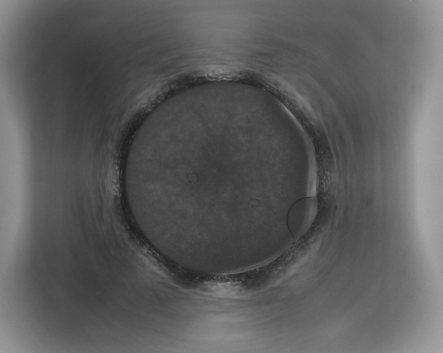 X0000112470689200909141119