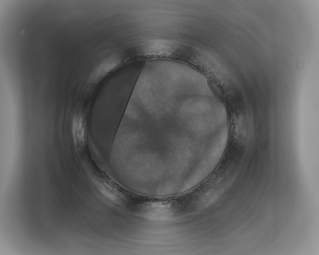 X0000112470692200909141119